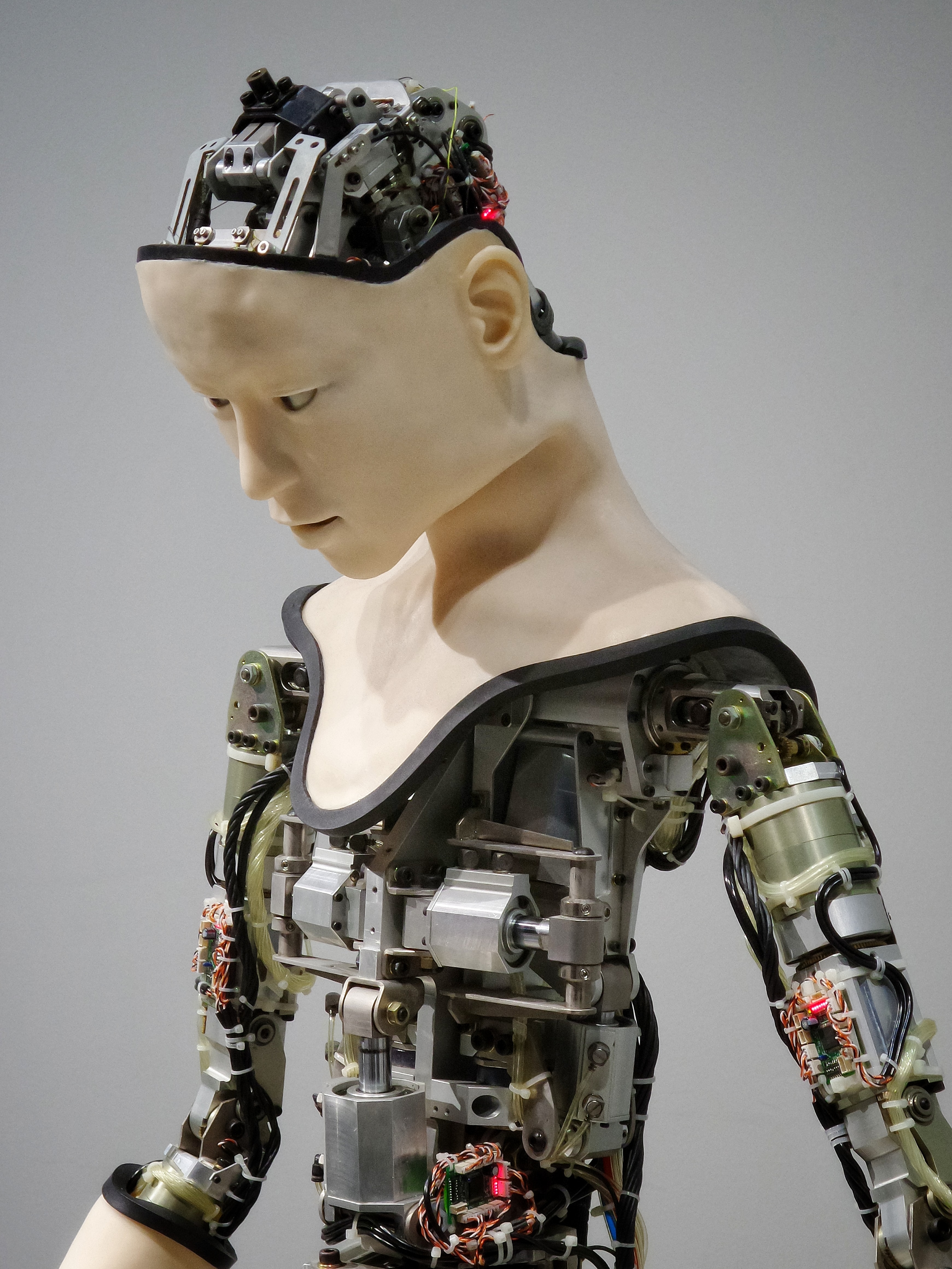 Human robot